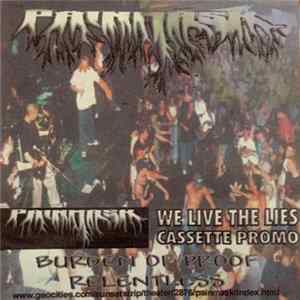 FLAC Painmask - We Live The Lies