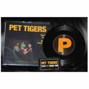 FLAC Pet Tigers - Yeah With Some Sun