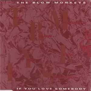FLAC The Blow Monkeys - If You Love Somebody