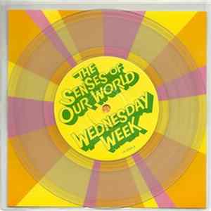 FLAC Wednesday Week - The Senses Of Our World