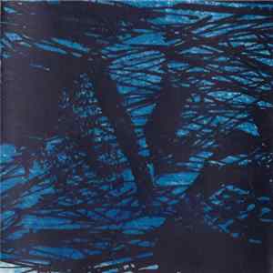FLAC F/i, The Surfin' Führers - Different Aspects Of Our Work From 1981 To 1983