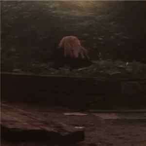 FLAC Brynje - Den Højes Tale / Sayings Of The High One