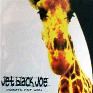 FLAC Jet Black Joe - Wasn't For You