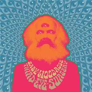 FLAC Baby Woodrose - Third Eye Surgery