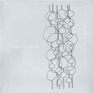 FLAC Teresa Rampazzi - Musica Endoscopica