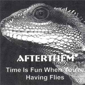 FLAC Afterthem - Time Is Fun When You're Having Flies