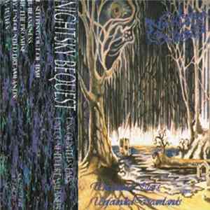 FLAC Nightsky Bequest - Uncounted Stars, Unfounded Dreamlands