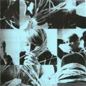 FLAC Cheapmachines / Family Battle Snake - Safeword / Negative Space