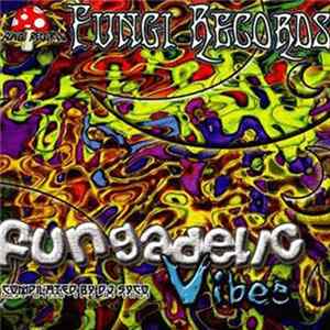 FLAC DJ Syco - Fungadelic Vibes