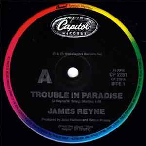 FLAC James Reyne - Trouble In Paradise