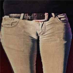 FLAC The Sapphics - Camel Toes