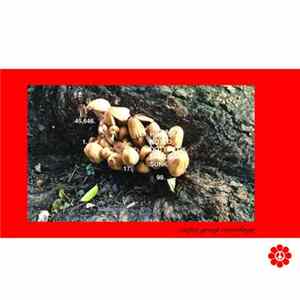 FLAC Various - comp. 1