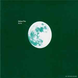 FLAC Holum Trio - Borte