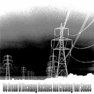 FLAC [C. T. D.] / Youth A.D. / Erekta - We Dream Of Becoming Machines And Crushing Your Senses