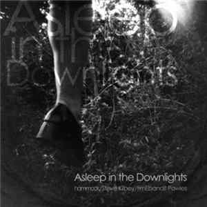 FLAC Hammock / Steve Kilbey / timEbandit Powles - Asleep In The Downlights