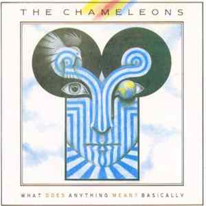 FLAC The Chameleons - What Does Anything Mean? Basically