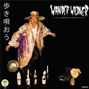 FLAC Wander Wildner / Handsome And Heartbreakers - Caminando Y Cantando / Meus Olhos Estão Chorando