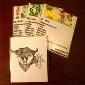 FLAC SRX - Vessel