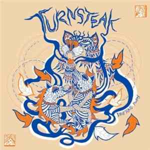 FLAC Turnsteak - Drifting Away