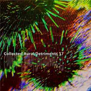 FLAC Various - Collected Aural Detriments Vol. 17