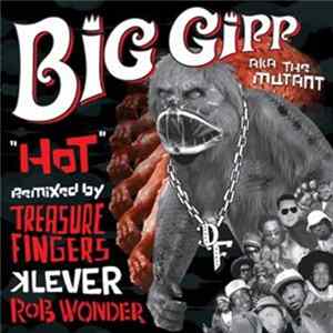 FLAC Big Gipp - Hot