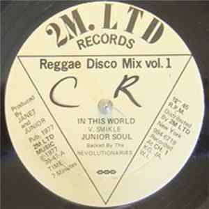 FLAC Junior Soul Backed By The The Revolutionaries - In This World