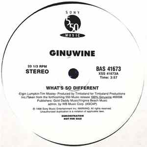FLAC Ginuwine - What’s So Different