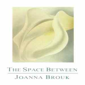FLAC Joanna Brouk - The Space Between