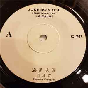 FLAC 賴冰霞 / 余天 - 海角天涯 / 從心中走過