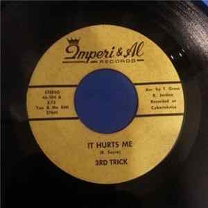 FLAC The 3rd Trick - It Hurts Me / Now I Can Feel You