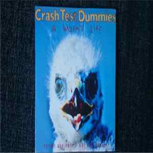 FLAC Crash Test Dummies - A Worm's Life