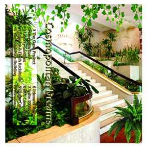 FLAC 猫 シ Corp. - Cosmopolitan Dreams / Sunday Television