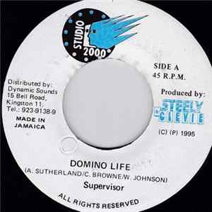FLAC Supervisor - Domino Life