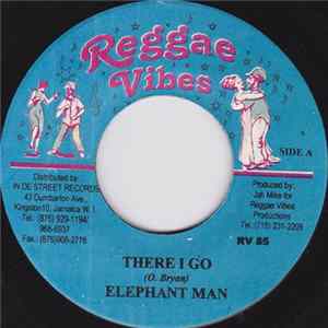 FLAC Elephant Man - There I Go