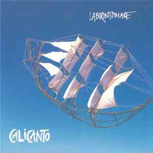 FLAC Calicanto - Labirintomare