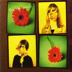 FLAC The Raincoats - Don't Be Mean / Vicious / I Keep Walking
