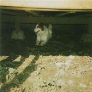 FLAC Regosphere - Untitled