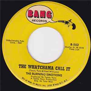FLAC The Burning Emotions - The Whatchama Call It