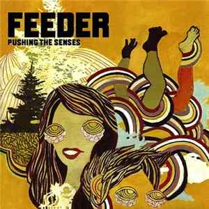 FLAC Feeder - Pushing The Senses