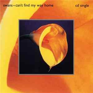 FLAC Swans - Can't Find My Way Home
