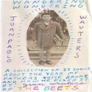 FLAC Juan Wauters - Wandering Wondering