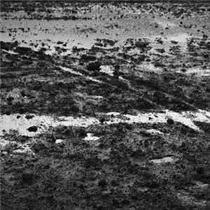 FLAC Herbsthauch - Mangelerscheinung