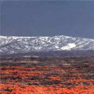 FLAC Colossamite - All Lingo's Clamor