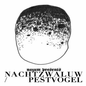 FLAC Nachtzwaluw/Pestvogel - Nachtzwaluw/Pestvogel