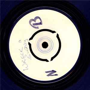 FLAC The Mellotones - Until You Fly Away