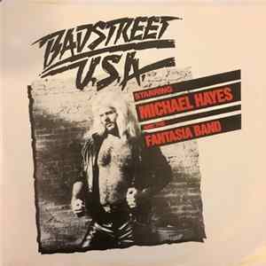 FLAC Michael Hayes And The Fantasia Band - Badstreet U.S.A.