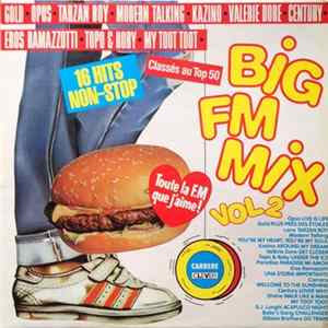 FLAC Various - Big FM Mix Volume 2