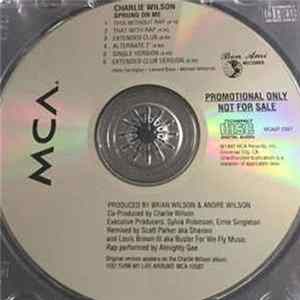 FLAC Charlie Wilson - Sprung On Me (Remixes)