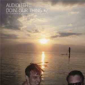FLAC Various - Audiolith - Doin' Our Thing Part 2