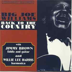 FLAC Big Joe Williams With Jimmy Brown And Willie Lee Harris - Back To The Country